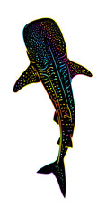 Whale Shark2