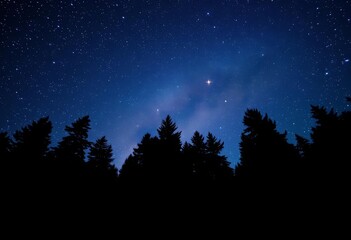 Fototapeta premium Dark forest silhouette against a vibrant starlit night sky, ample empty space, graphic, bright stars