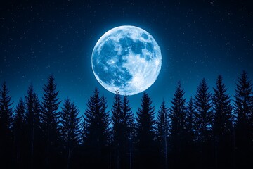 Fototapeta premium Full moon over silhouetted pine forest