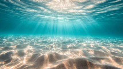 Underwater Sunlit Ocean Floor with Sandy Seabed