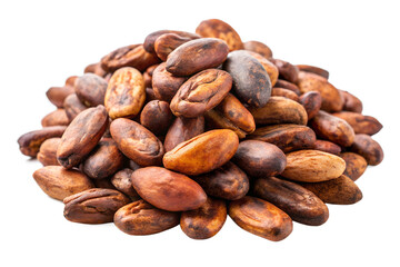 Cacao Beans Transparent background