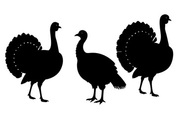 set of Turkey silhouette vector illustration