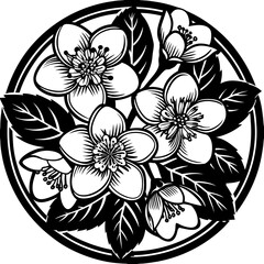 jasmine vector silhouette and illustration 