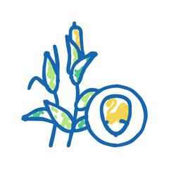 corn groat icon doodle illustration
