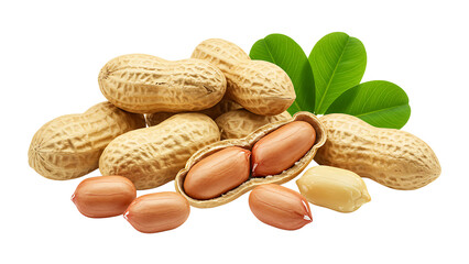 Peanuts and Leaves 