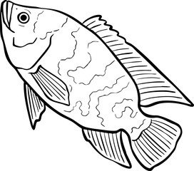 hand drawn cartoon illustration of a fish.