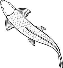 hand drawn cartoon illustration of a fish.