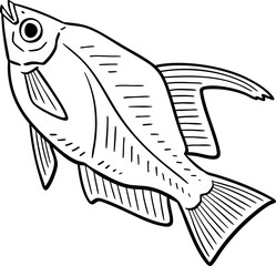 hand drawn cartoon illustration of a fish.