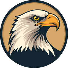 Obraz premium american eagle with flag