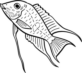 hand drawn cartoon illustration of a fish.