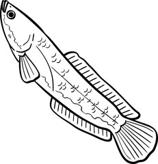 hand drawn cartoon illustration of a snakehead fish.