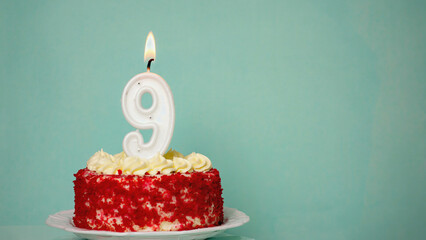 Birthday Cake Celebration: A small, delectable red velvet cake adorned with white frosting and a single glowing candle shaped like the number nine, set against a soft teal backdrop.