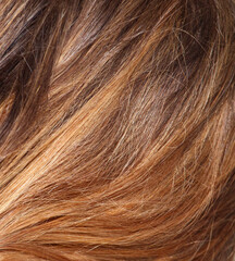 Fototapeta premium The hair is brown and has a lot of texture
