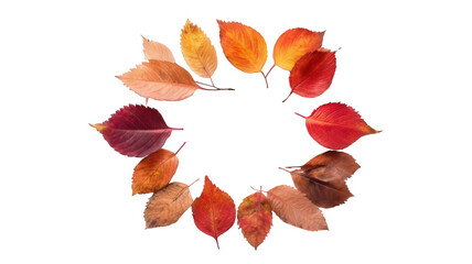 Fall Leaves Forming a Circle Isolated Transparent Background