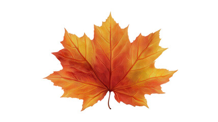 Fototapeta premium Realistic Autumn Branch with Red Leaves Transparent Background