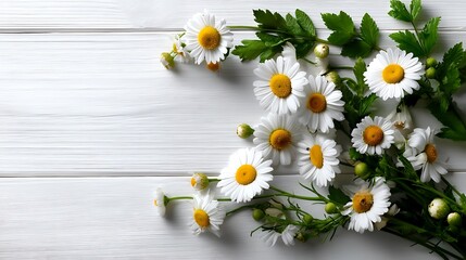 Fototapeta premium Top view floral frame on white wooden background minimal botanical poster with flower wreath layout and text ready background