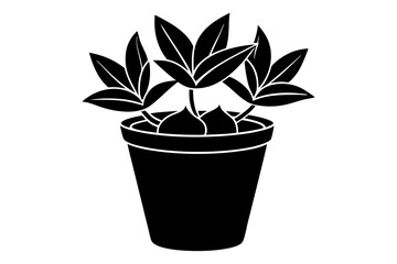 plant in pot silhouette vector,