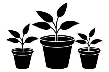 plant in pot silhouette vector,