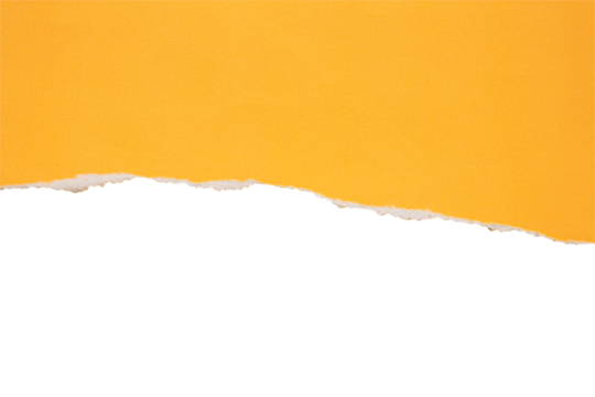 Yellow ripped paper torn edges strips isolated on white background