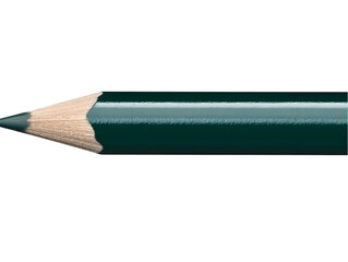 Dark Green Colored Pencil Illustration Isolated Transparent Background