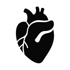 Stylized Human Heart Illustration with Veins and Arteries Black and White