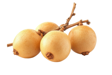Group of three loquat fruits on a branch, presented in a close-up shot against a plain background. The fruits are a light yellow tone.