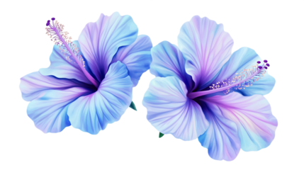 Pastel Blue and Purple Hibiscus Flowers on Transparent Background, PNG