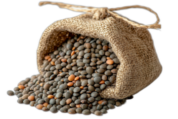 Bag of lentils with text "lent" repeated multiple times, isolated on transparent background.