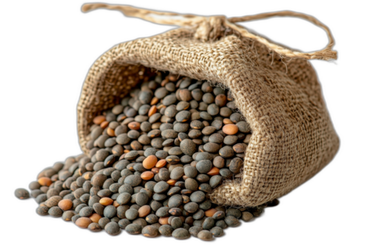 Bag of lentils with text "lent" repeated multiple times, isolated on transparent background.