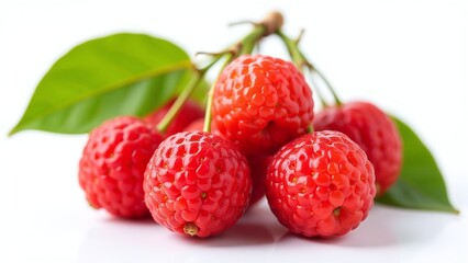 Litchi bunch, isolated on white background, fresh ripe fruits with leafy stems, photorealistic macro