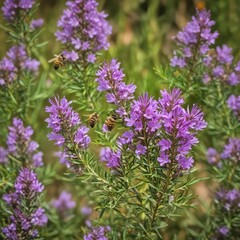 A bee pollinating vibrant purple rosemary blossoms in a sun-drenched garden , floral, texture, vertical