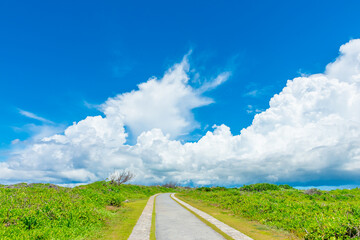 積乱雲