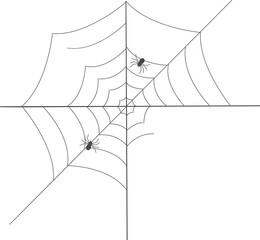 Simple spider with web illustration.