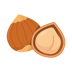 Macadamia nut vector for vegan and health food.
