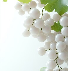 Close-up of a cluster of pristine white grapes.  Fresh, healthy, and glossy.  Vines with vibrant...