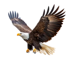 Fototapete Rund Adler Eagle in flight natural habitat wildlife dynamic scene isolated on transparent background  © Luminara