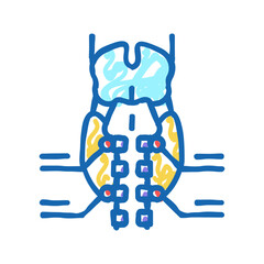 parathyroid gland endocrinology icon doodle illustration