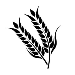 Obraz premium Black and White Wheat Stalks Graphic Design Element Illustration