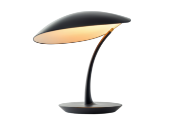 Dark-gray, modern desk lamp with a curved shade and a smooth base, showcasing a minimalist design. The image is well-lit and highlights the details of the lamp's form.