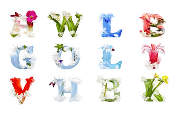 Floral Alphabet Illustration, Colorful Letters Design, Isolated Transparent Background