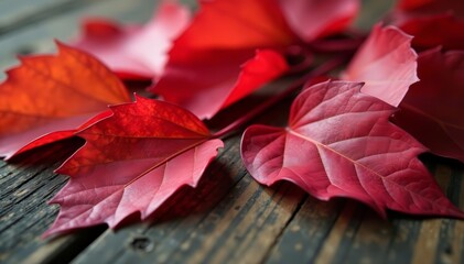 Close-up of vibrant red leaves on a wooden table, seasonal, close-up, wooden