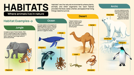 Animal Habitats Infographic – Jungle, Ocean, Desert, Arctic Wildlife Education Chart for Kids and Classrooms