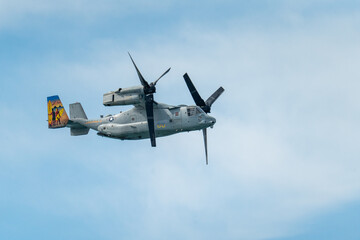 Osprey flying through the sky