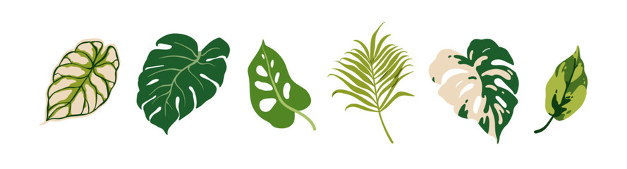 Tropical variegated leaves set. Exotic green leaf plants, bicolor foliage with variegation. Monstera, caladium, palm, botanical natural greenery. Flat vector illustrations isolated on white background © Good Studio