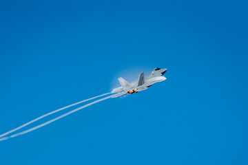 F22 Raptor flying through the sky
