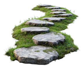 Garden pathway stones in lush green grass serene natural isolated on transparent background