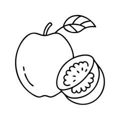 fruit icon, fruit line art - simple line art of fruit, perfect for fruit logos and icons