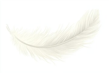 Fototapeta premium Delicate, flowing feather