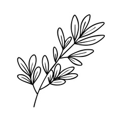herb sprig icon, herb sprig line art - simple line art of herb sprig, perfect for herb sprig logos and icons