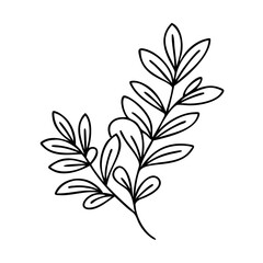 herb sprig icon, herb sprig line art - simple line art of herb sprig, perfect for herb sprig logos and icons
